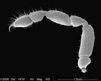 Media type: image;   Invertebrate Zoology 134690